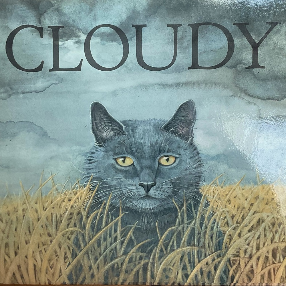 Children’s Book - “CLOUDY”